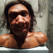 Neanderthaler Krijn